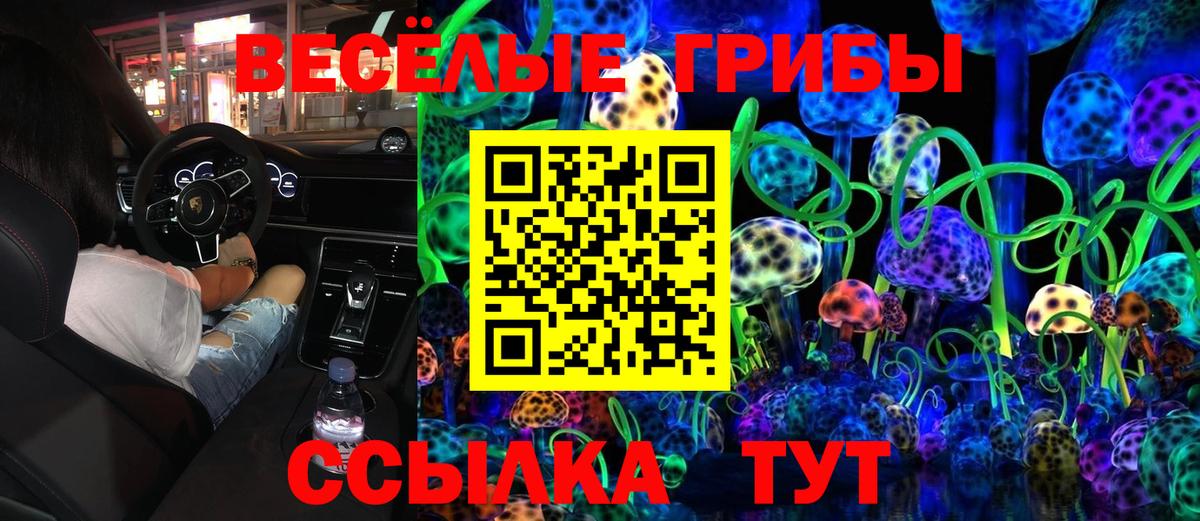 Псилоцибиновые грибы MAGIC MUSHROOMS  Галлюциногенные грибы Psilocybe  Вход с VPN  Псков 